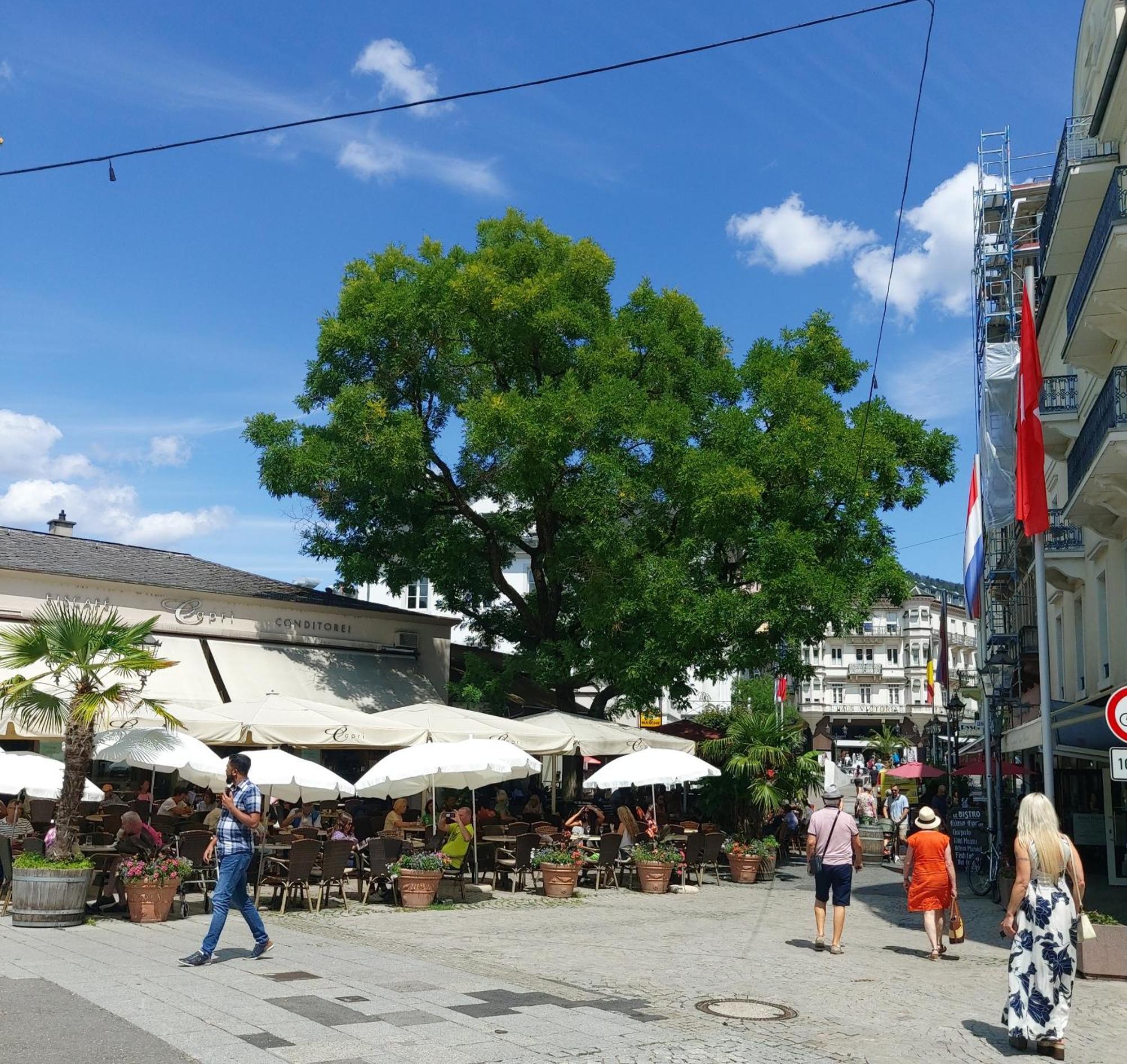 Gemuetliches J&L Apartment Nahe Des Hauptbahnhofes Baden-Baden Buitenkant foto