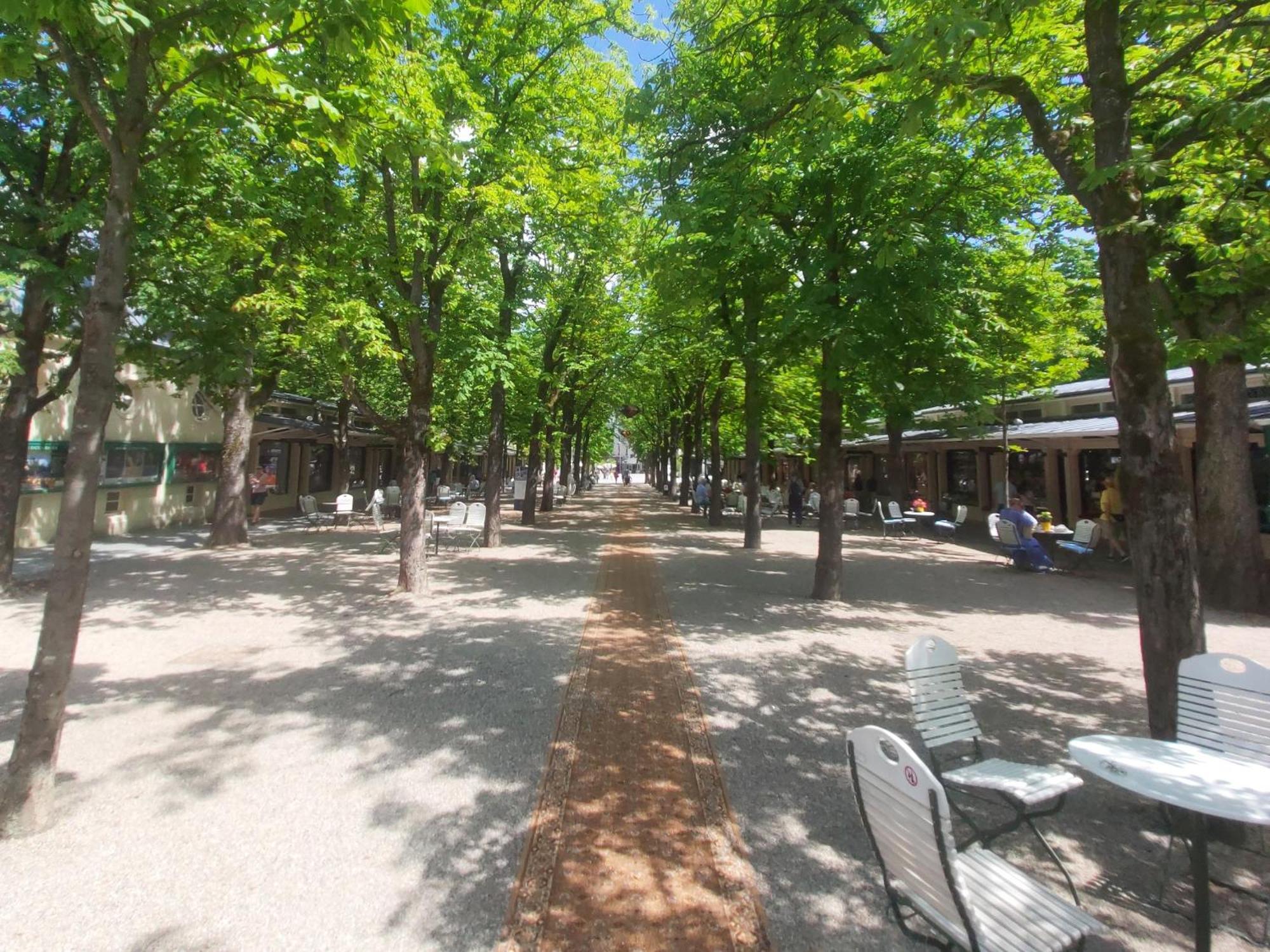 Gemuetliches J&L Apartment Nahe Des Hauptbahnhofes Baden-Baden Buitenkant foto